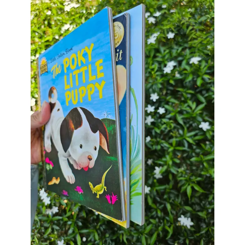 COMBO "GÁY VÀNG" HUYỀN THOẠI - LITTLE GOLDEN BOOKS 995247
