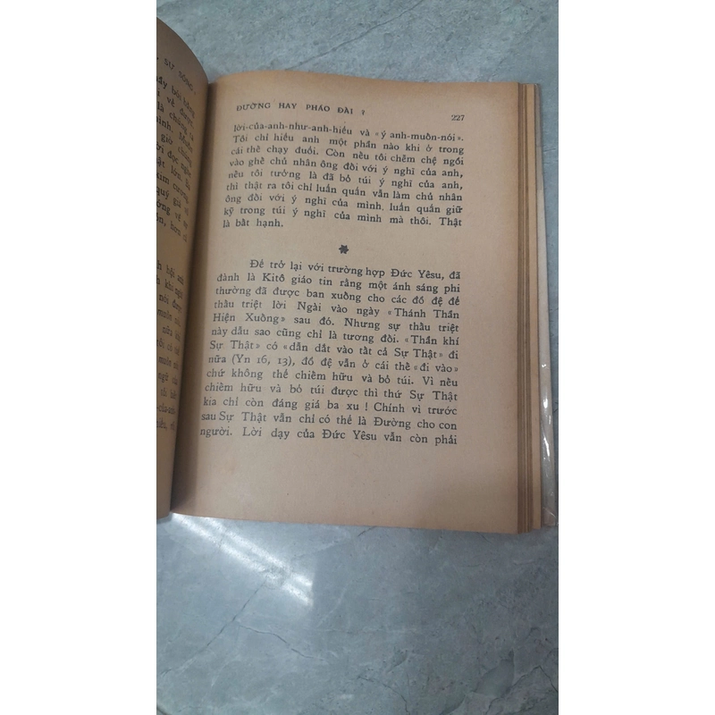 ĐƯỜNG HAY PHÁO ĐÀI? - Nguyễn Ngọc Lan 274186