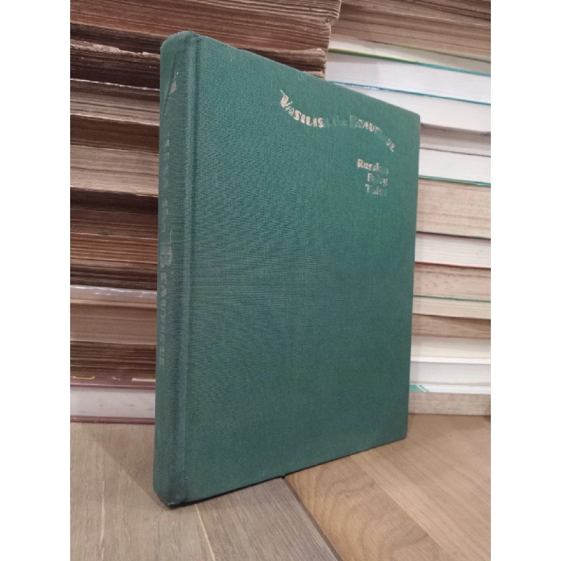 VASILISA THE BEAUTIFUL: RUSSIAN FAIRY TALES 362122