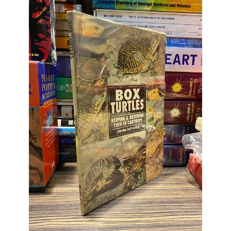 Box Turtles - Jordan Patterson 726815