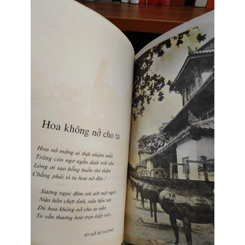 Xứ Huế xứ thương - Trần Thị Linh Chi 1028046