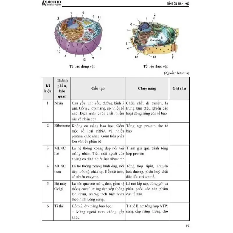 Sách - 2026 TSA - Tổng Ôn phần Tư Duy Khoa Học/Giải Quyết Vấn Đề Môn Sinh Học 925905