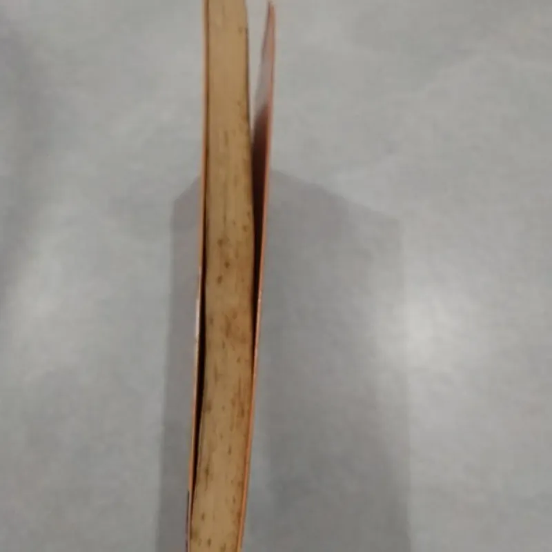 Sách Cũ - Thằng Quỷ Nhỏ 1003035