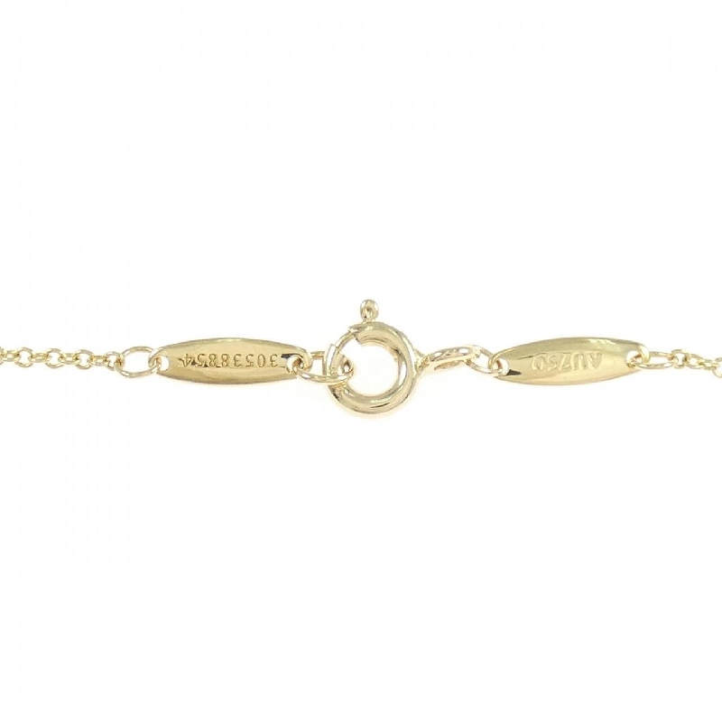 Dây chuyền Tiffany By The Yard - Hàng hiệu Authentic 843908