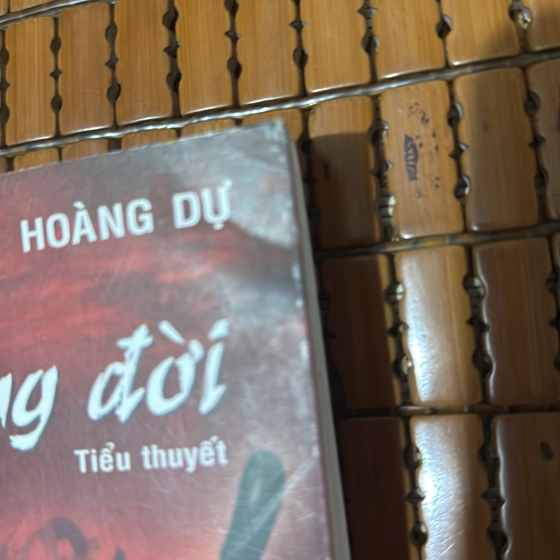 Đường đời - Hoàng Dự 476476