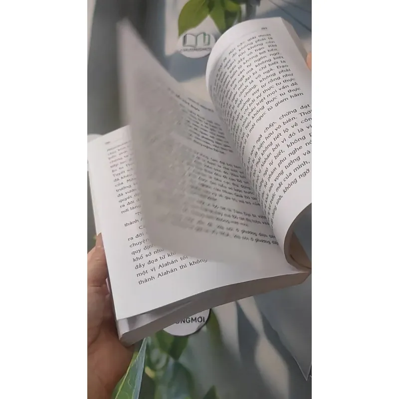 Luận Về Nhân Quả - Chân Quang 928517