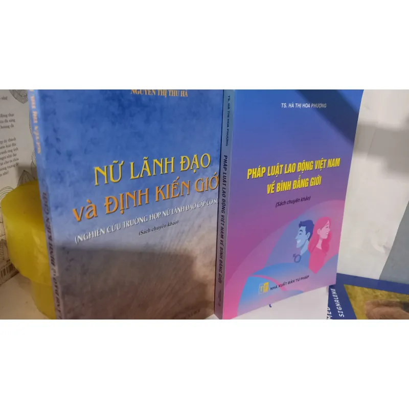 Pháp luật lao động Việt Nam về bình đẳng giới  791887