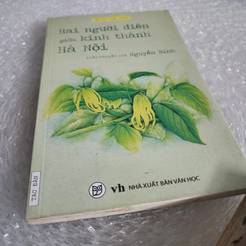 Hai người điên giữa kinh thành Hà Nội | Nguyễn bính 526120