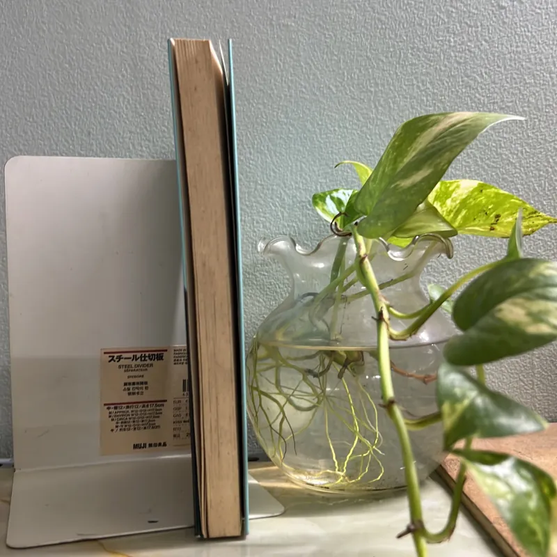 Bầu trời không chỉ có màu xanh- Lý Quí Trung 752117