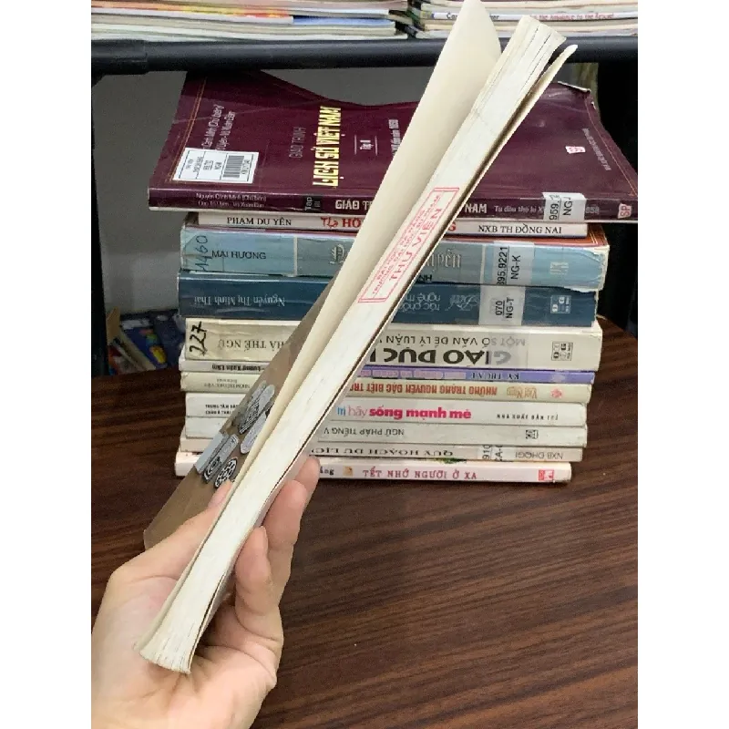 Nhập môn Sử học – Phan Ngọc Liên (chủ biên) 589446