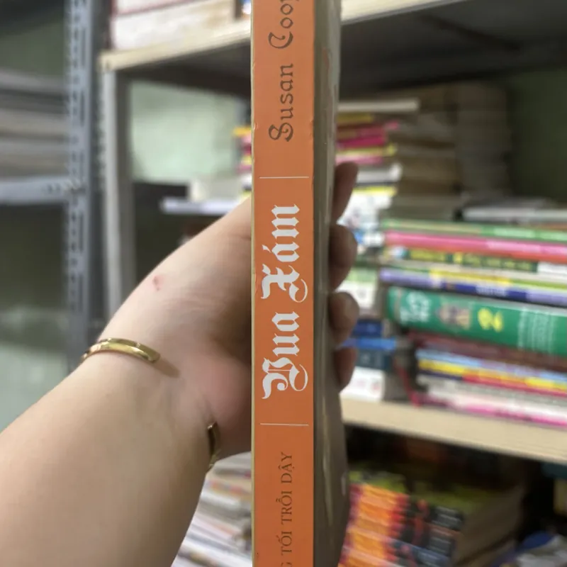 Vua xám 🌊 572609