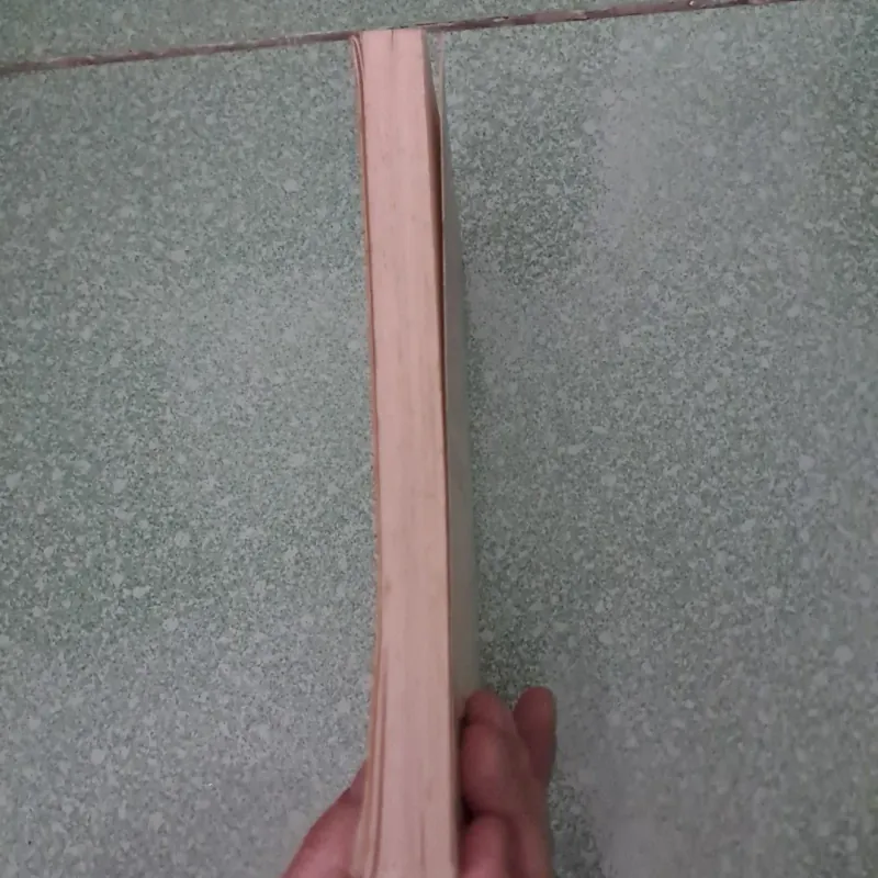 Selectep poems- robert gray 997396