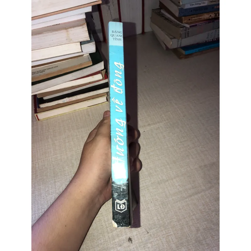 Hướng về đông tiểu thuyết  958318