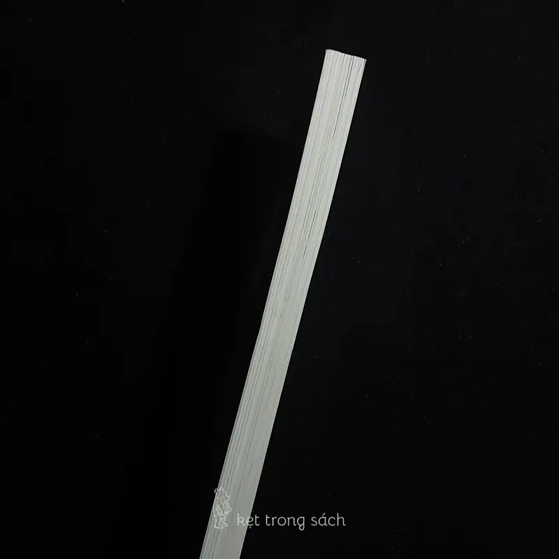 [Sách Cũ Ngoại Văn] Love & Misadventure- Lang Leav 564102