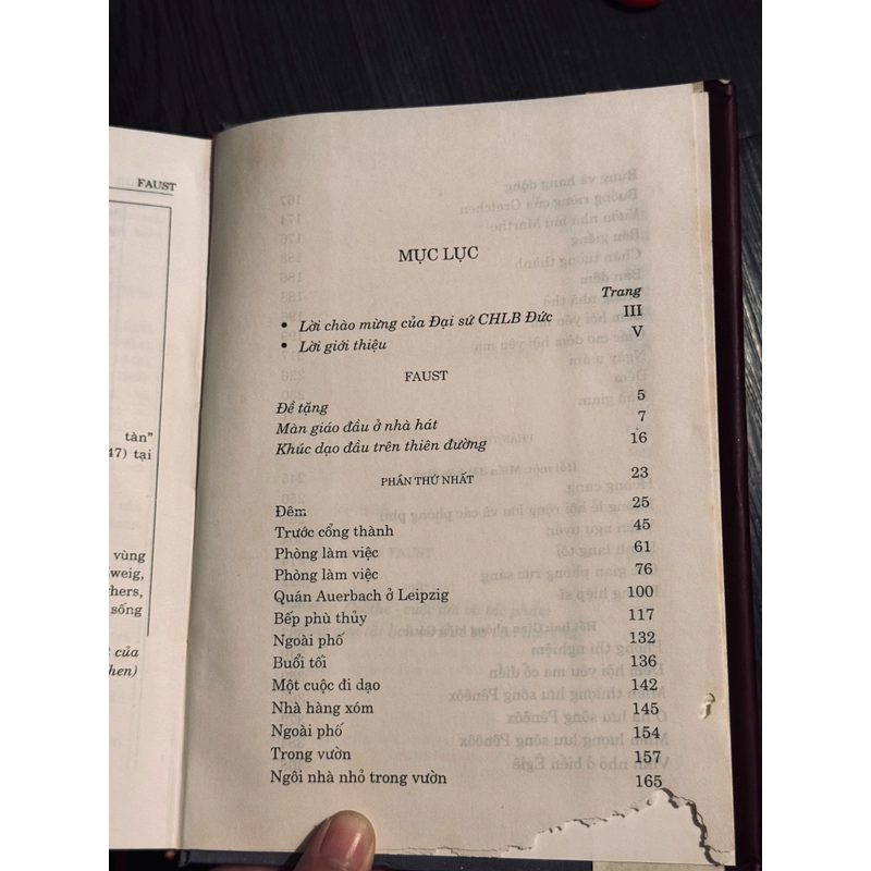 Faust (Bìa cứng, bản Đông Tây ít gặp) 475060