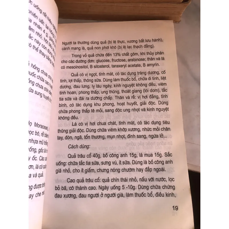 Cây thuốc nam và bài thuốc chữa bệnh 790089