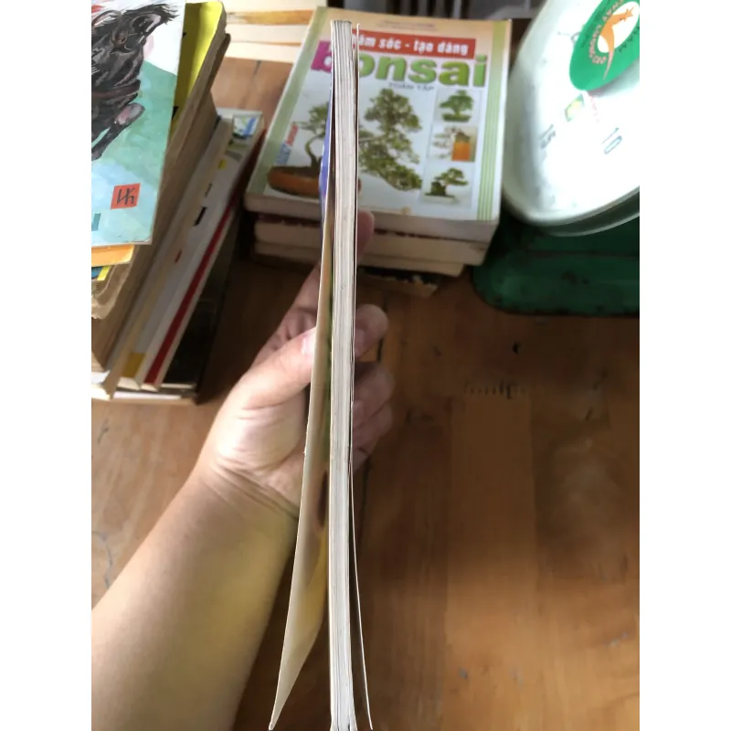 Chín bậc cầu thang 973618