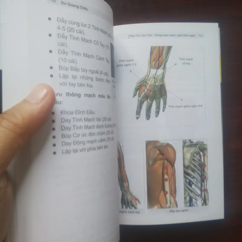 [Sách Y Học] Thập Chỉ Liên Tâm (Dư Quang Châu) Liệu Pháp Y Mao Mạch 933090