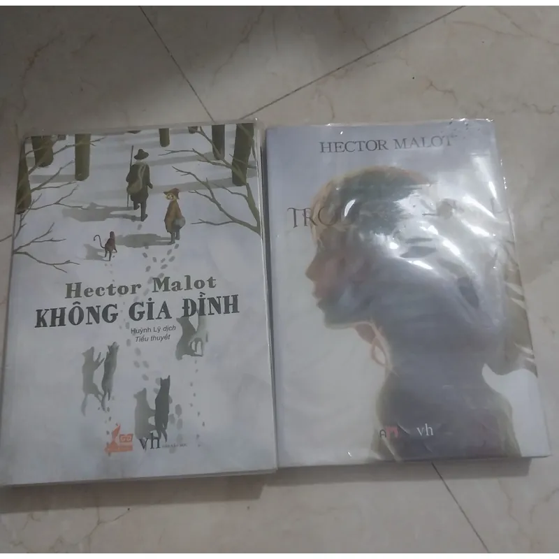  không gia đình và trong gia đình 605926