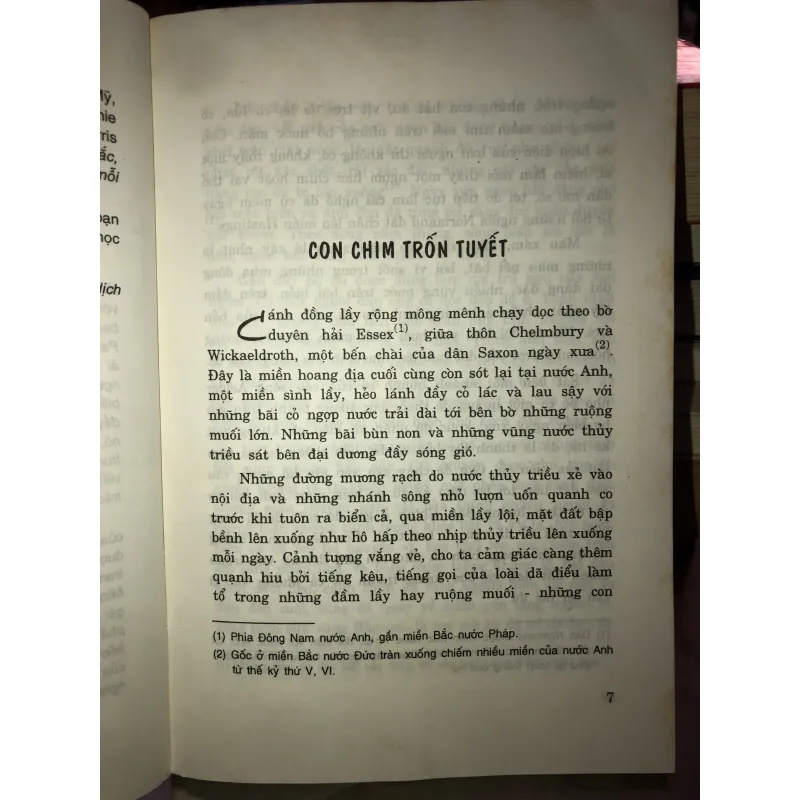 Con chim trốn tuyết - Paul Gallico 996823