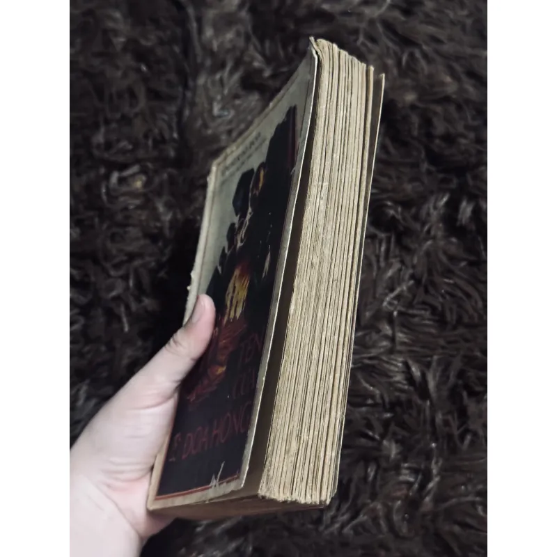 Tên của đoá hồng 998251