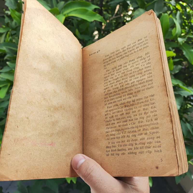 Không Có Gì Ngoài Cả Cuộc Đời - VLAĐIMIA BUSIN 523377