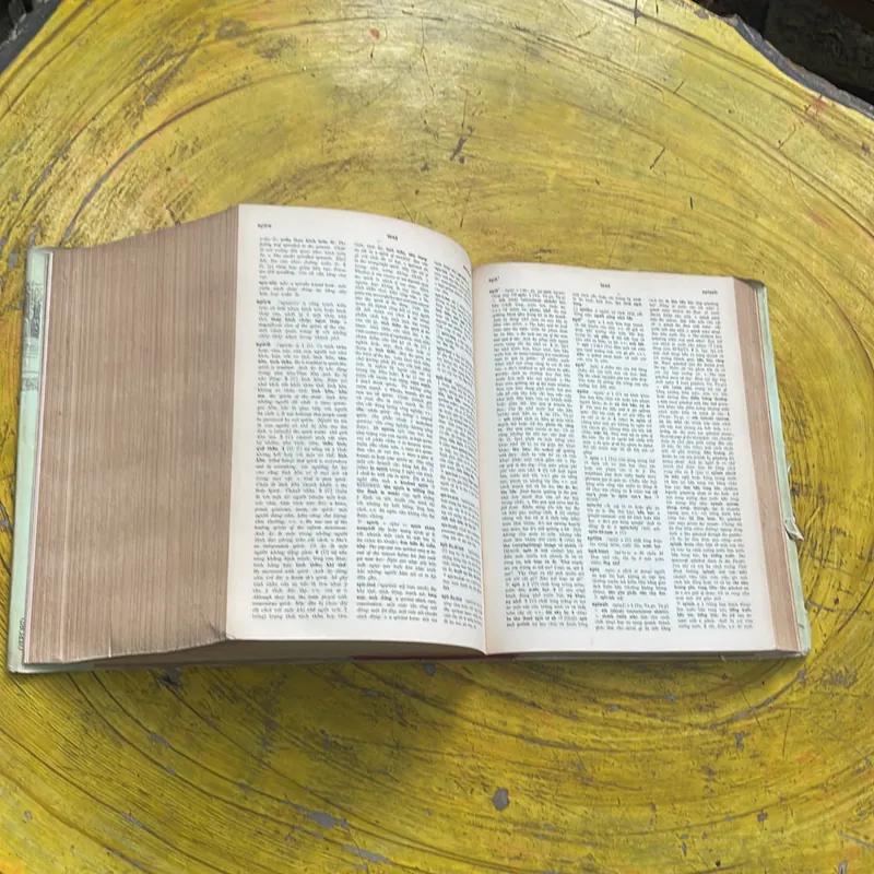 ĐẠI TỪ ĐIỂN ANH - VIỆT ENGLISH- VIETNAMESE DICTIONARY  702741