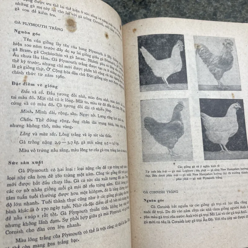 Cơ sở sinh học của nhân giống và nuôi dưỡng gia cầm XB1978 760395