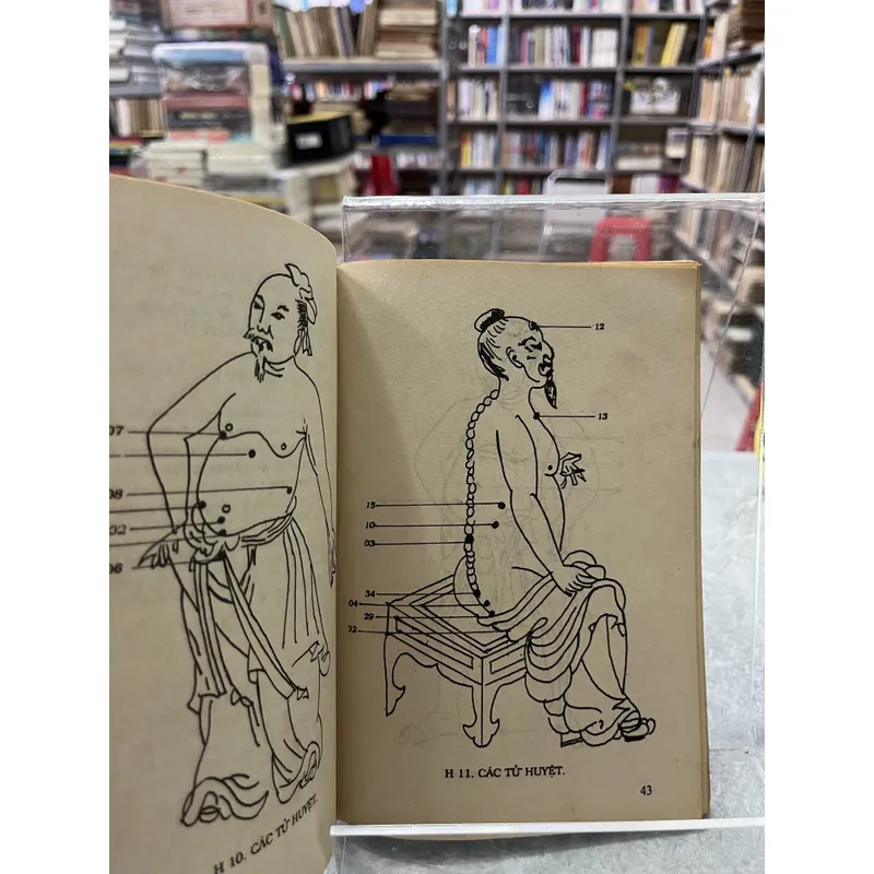 ĐIỂM HUYỆT GIẢI HUYỆT THIẾU LÂM TỰ 738119