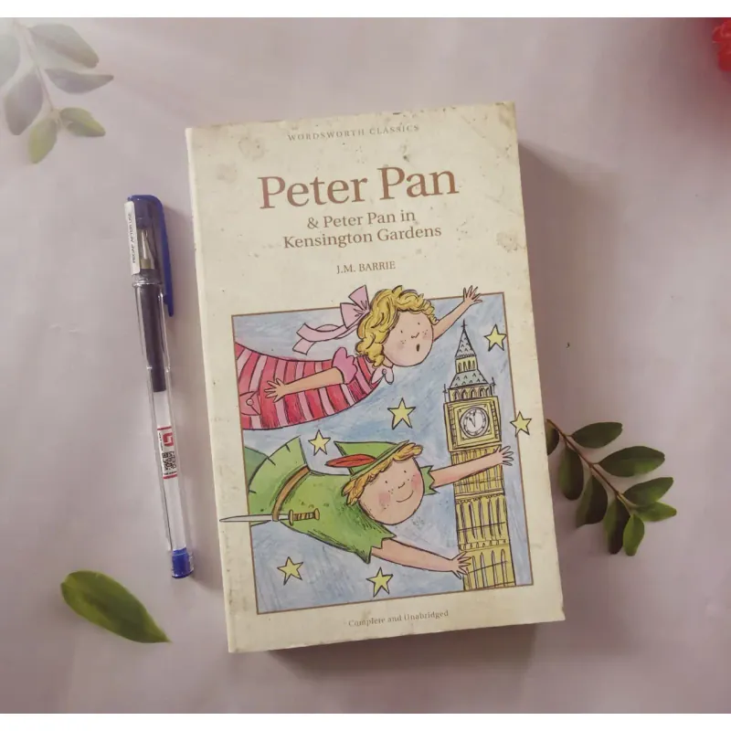 Peter Pan & Peter Pan in Kensington Gardens 1002048