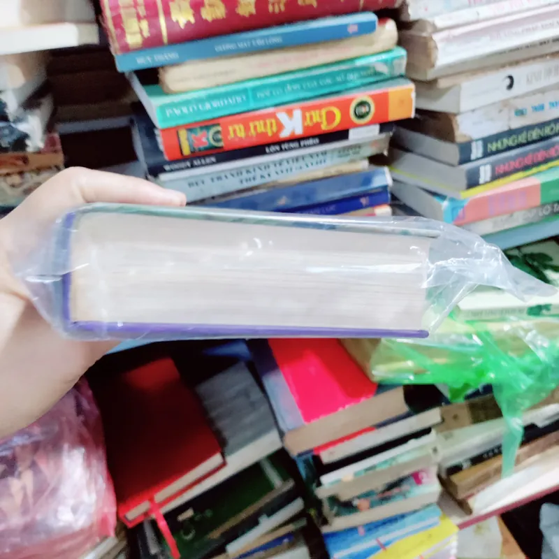 Khu rừng của VTB 673744