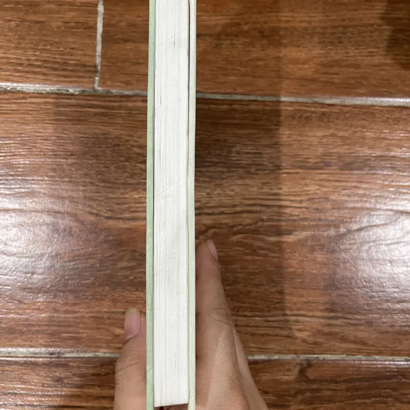 Đàm Đạo Với Lão Tử – Lưu Ngôn (10) 1004076