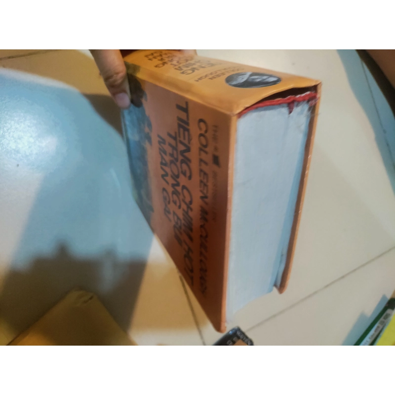Tiếng chim hót trong bụi mận gai 492729