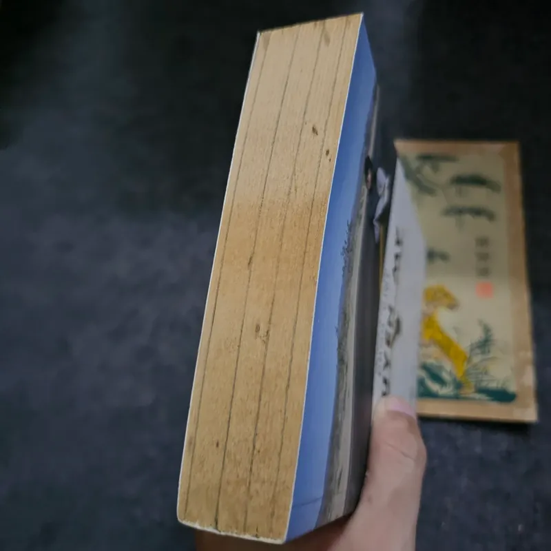 Xuyên Mỹ - Phan Việt 733074