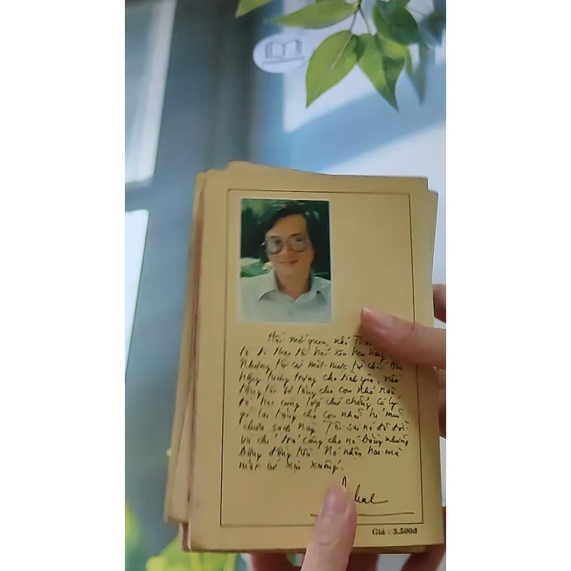 Trọn bộ Trại hoa vàng (4 tập) 607740