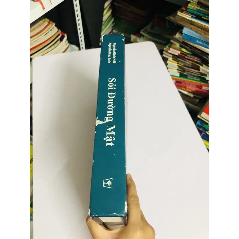 📘 SỎI ĐƯỜNG MẬT – Nguyễn Đình Hối & Nguyễn Mậu Anh 700887