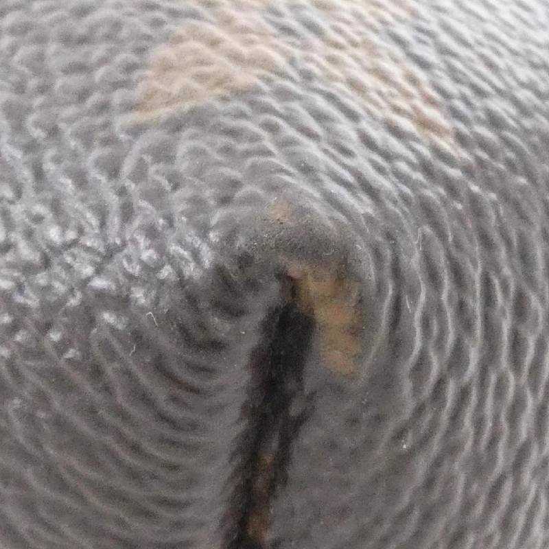 Túi xách vai Louis Vuitton Monogram Graceful PM M43700 - Hàng hiệu Chính hãng 802960