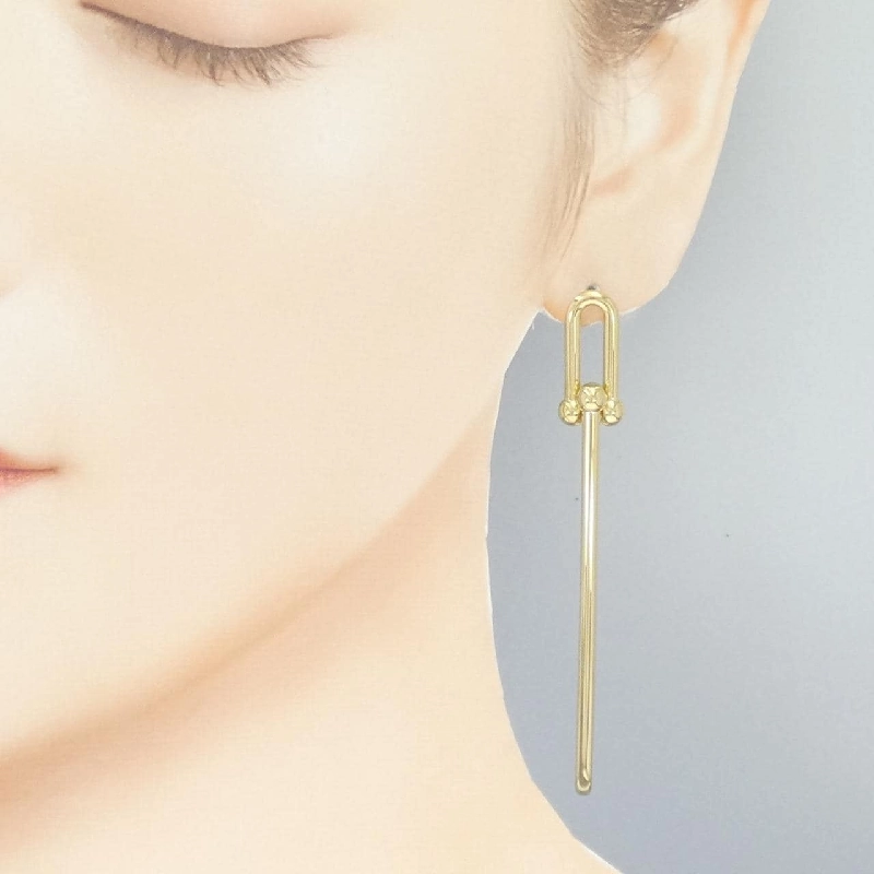 Bông tai liên kết dài đôi Tiffany - Hàng hiệu chính hãng 844938