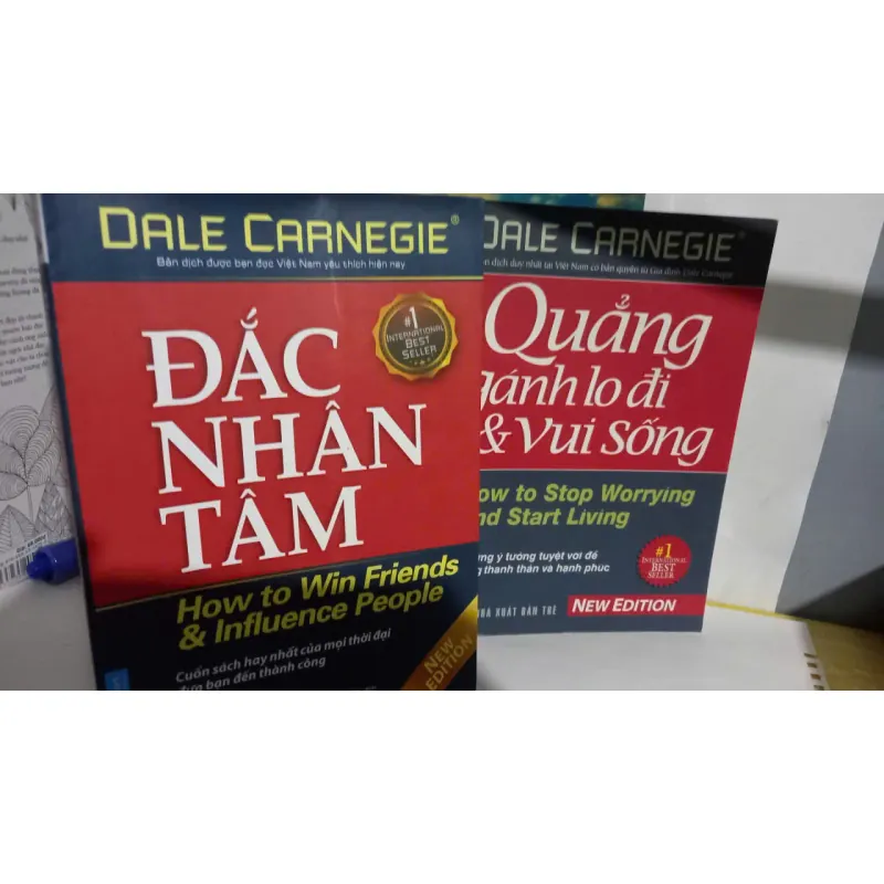 đắc nhân tâm -quẳng gánh lo đi 776714