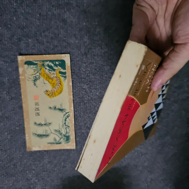 Mỹ nhân Nga - Nabokov 734718