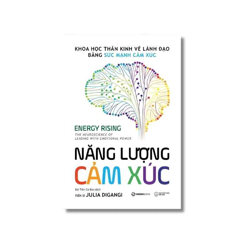 NĂNG LƯỢNG CẢM XÚC - Khoa học thần kinh về lãnh đạo bằng sức mạnh cảm xúc - Julia DiGangi 722119