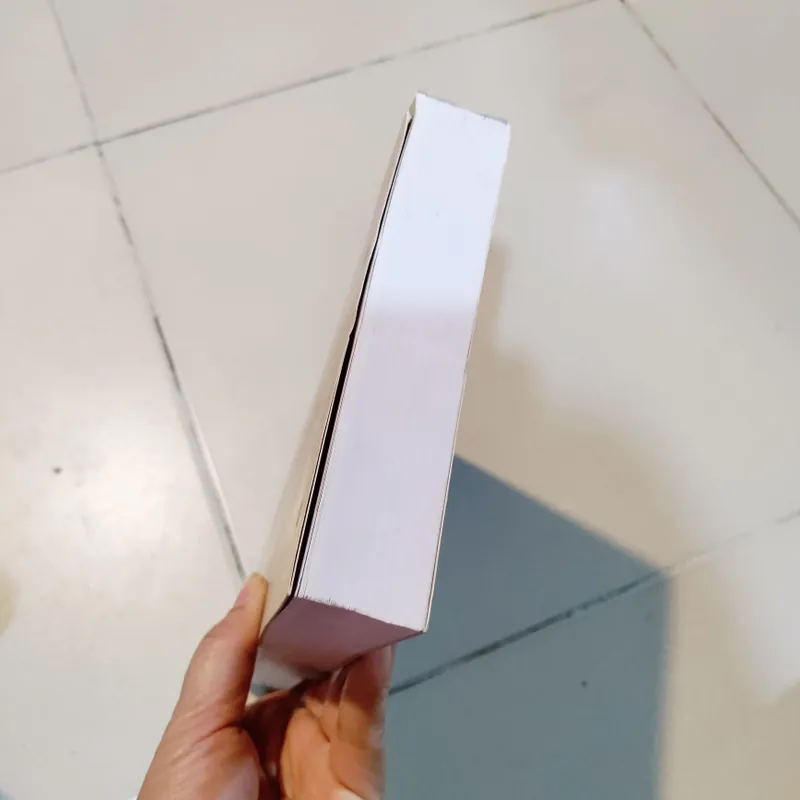 Vương quốc champa 605336