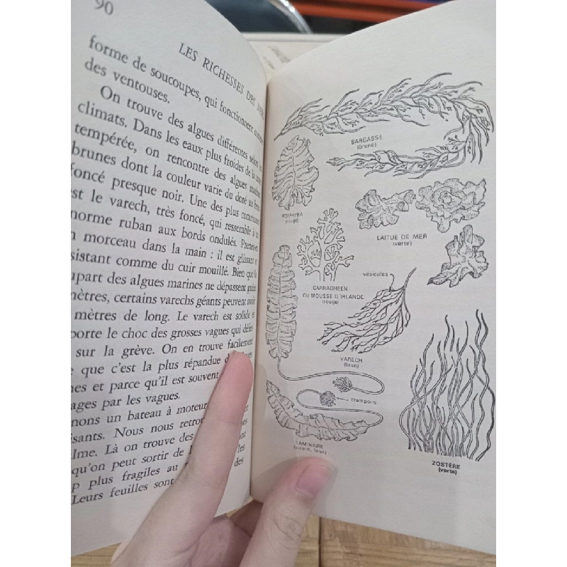 Les richesses des mers - Helen W. Vogel, Mary L. Caruso 533703