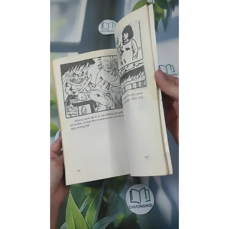 Hồi Dương Nhơn Quả 1018902