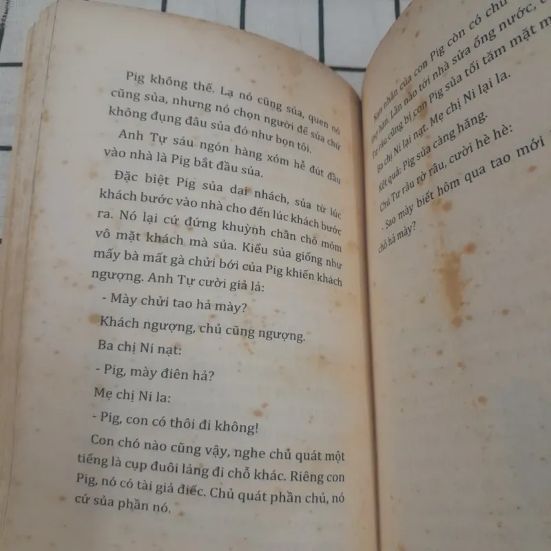 Nhà văn Nguyễn Nhật Ánh- Con Chó Nhỏ Mang Giỏ Hoa Hồng.  597331