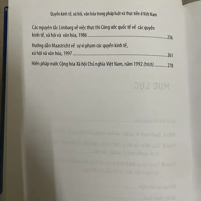 🛍 Quyền Kinh Tế – Xã Hội – Văn Hóa Trong Pháp Luật Và Thực Tiễn Ở Việt Nam 728136
