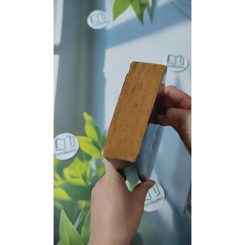 [MIỄN PHÍ BỌC SÁCH] Beautiful Lies - Lisa Unger 1027173