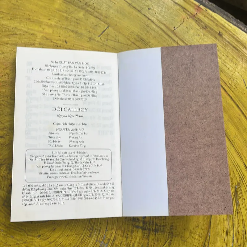 ĐỜI CALLBOY- NGUYỄN NGỌC THẠCH- văn học 2016 738013