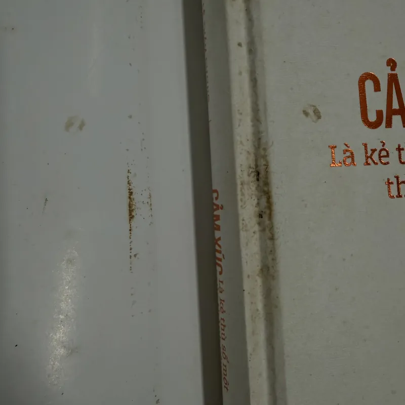 Cảm xúc là kẻ thù số một của thành công - Ts. Lê Thẩm Dương (Phiên bản đặc biệt 2018) 749399