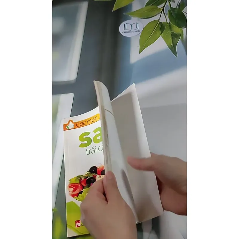 Các Món Salad Trái Cây - Rau Củ Ngon Tuyệt - Việt Điền, Triệu Thị Chơi 607710